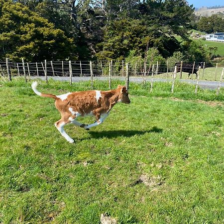Waimauku Pukeatua Farmstay מראה חיצוני תמונה