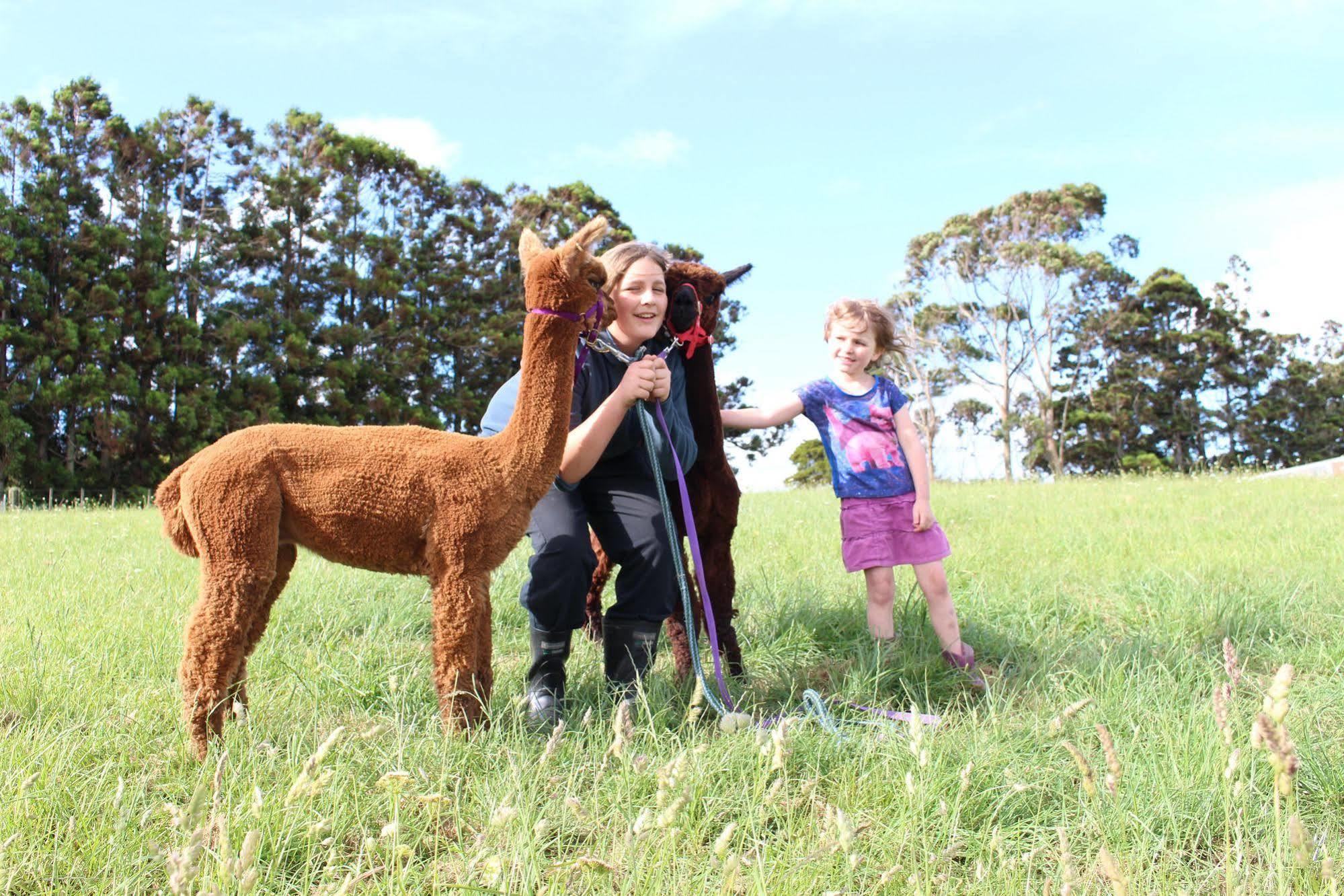 Waimauku Pukeatua Farmstay מראה חיצוני תמונה
